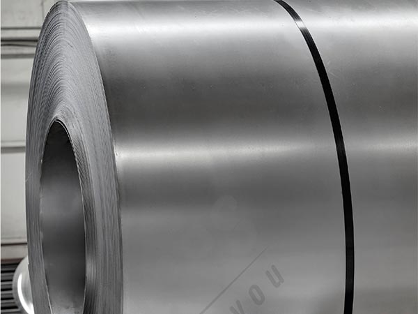 soguk_rulo_ve_paket_saclar